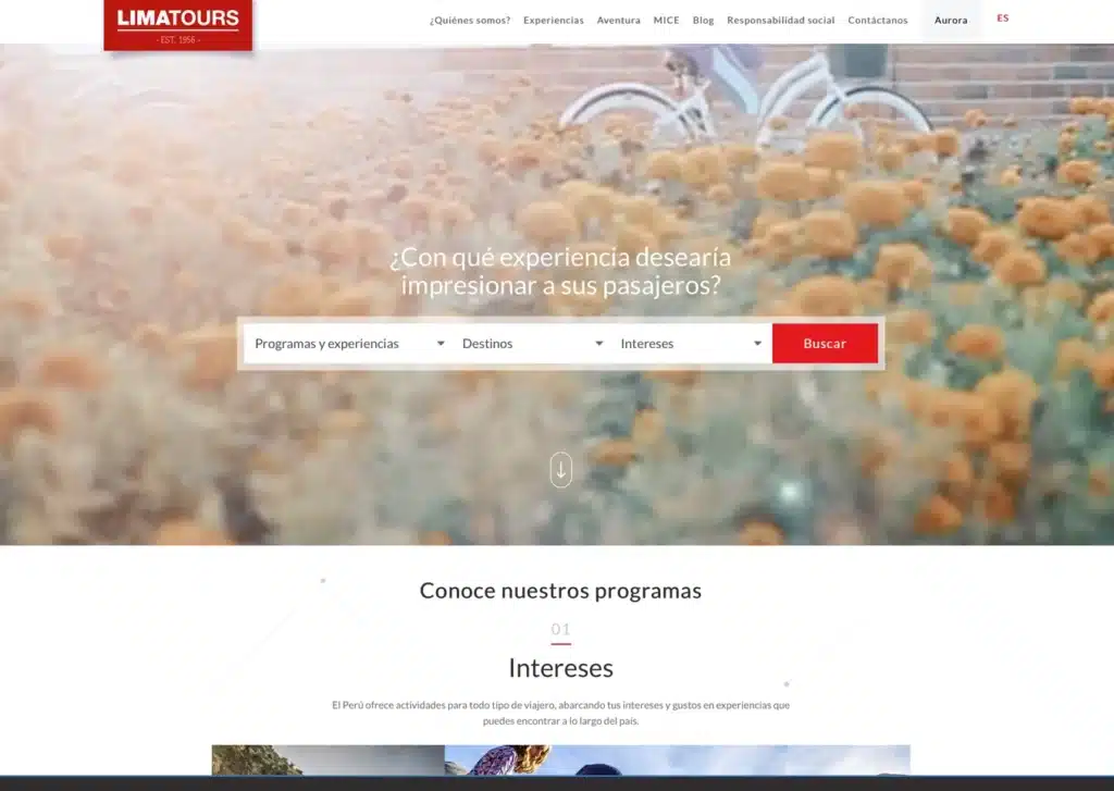 las paginas web de agencias de viaje en lima peru mejor posicionadas en google lima tours - Servicio de Diseño de Páginas Web para Empresas en Lima - Perú