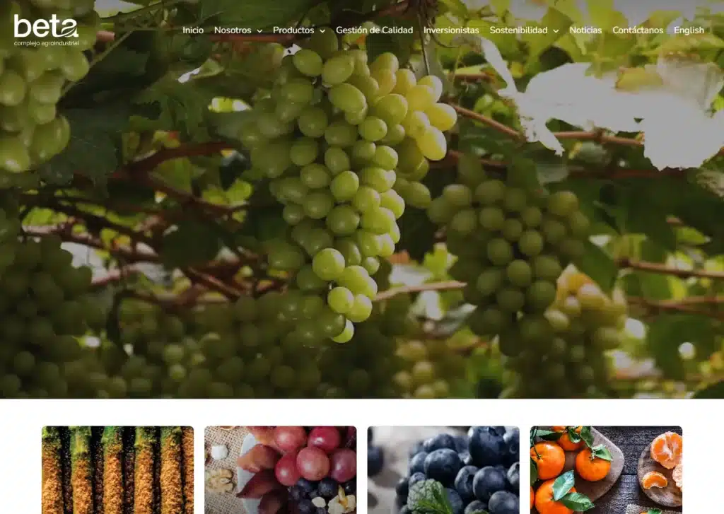 las paginas web de companias agricolas en lima peru mejor posicionadas en google beta - Servicio de Diseño de Páginas Web para Empresas en Lima - Perú