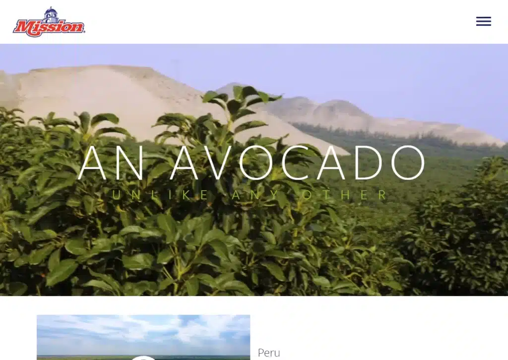 las paginas web de companias agricolas en lima peru mejor posicionadas en google mission - Servicio de Diseño de Páginas Web para Empresas en Lima - Perú