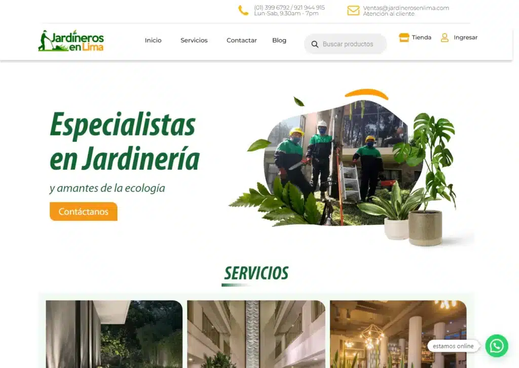 las paginas web de empresas de servicios en lima peru mejor posicionadas en google jardinerosenlima - Servicio de Diseño de Páginas Web para Empresas en Lima - Perú