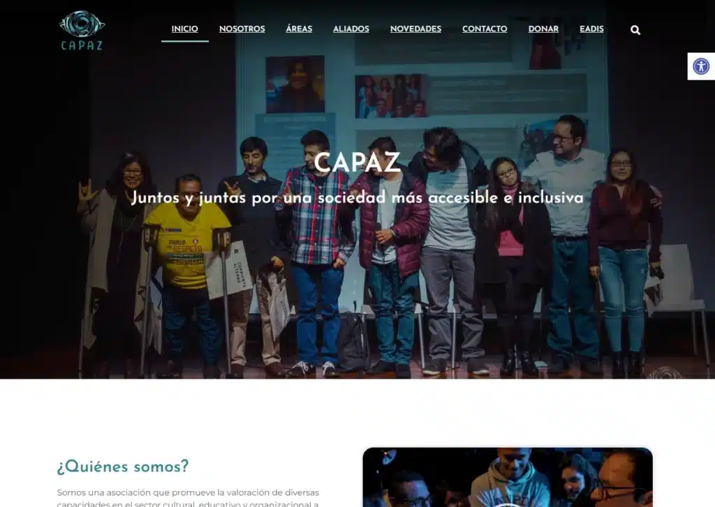 las paginas web de ongs en lima peru mejor posicionadas en google capaz - Servicio de Diseño de Páginas Web para Empresas en Lima - Perú