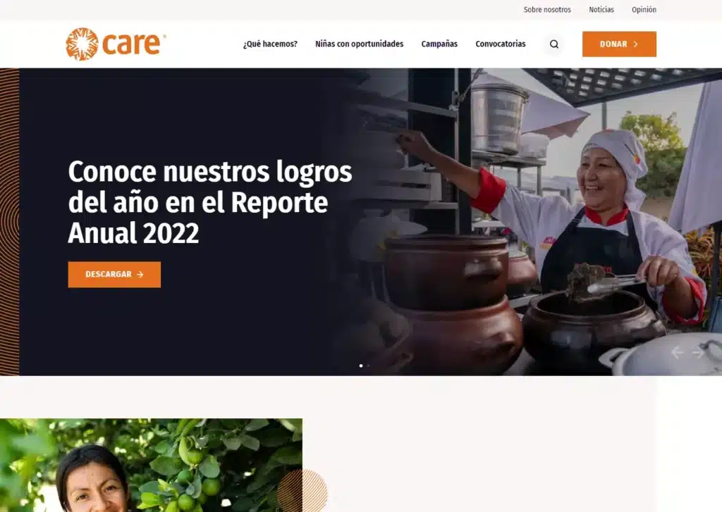 las paginas web de ongs en lima peru mejor posicionadas en google care - Servicio de Diseño de Páginas Web para Empresas en Lima - Perú