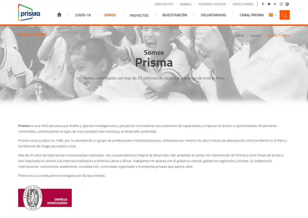 las paginas web de ongs en lima peru mejor posicionadas en google prisma - Servicio de Diseño de Páginas Web para Empresas en Lima - Perú